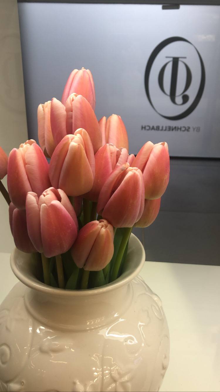 des tulipes contre le cancer - dieppe 76200
